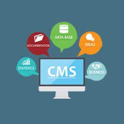 CMS Website Development